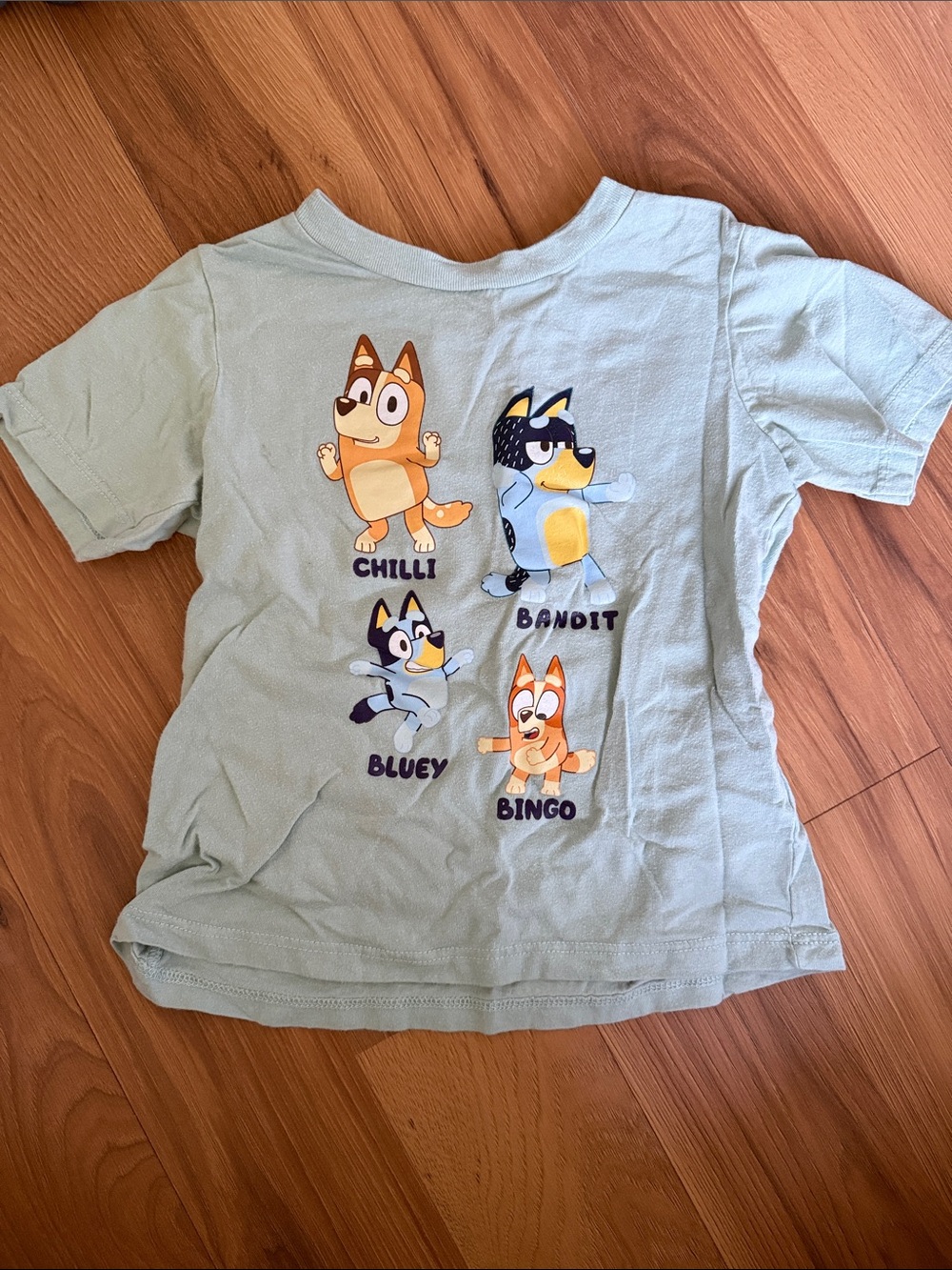 Bluey Character Graphic Kids Tee - Light Green